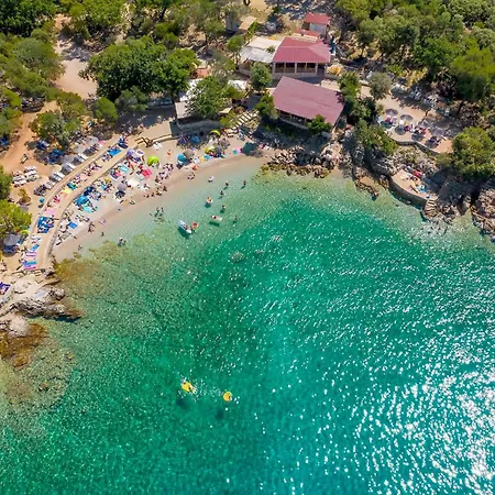 New With Pool, 600 M From The - By Traveler Tourist Agency Krk Id 2164 Pinezici (Krk)