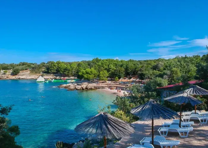 Vila New With Pool, 600 M From The - By Traveler Tourist Agency Krk Id 2164 Pinezići